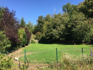 Photo de la pension Les Deux Marronniers