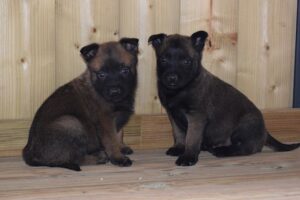 Photo de la pension Les Deux Marronniers