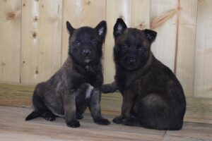 Photo de la pension Les Deux Marronniers